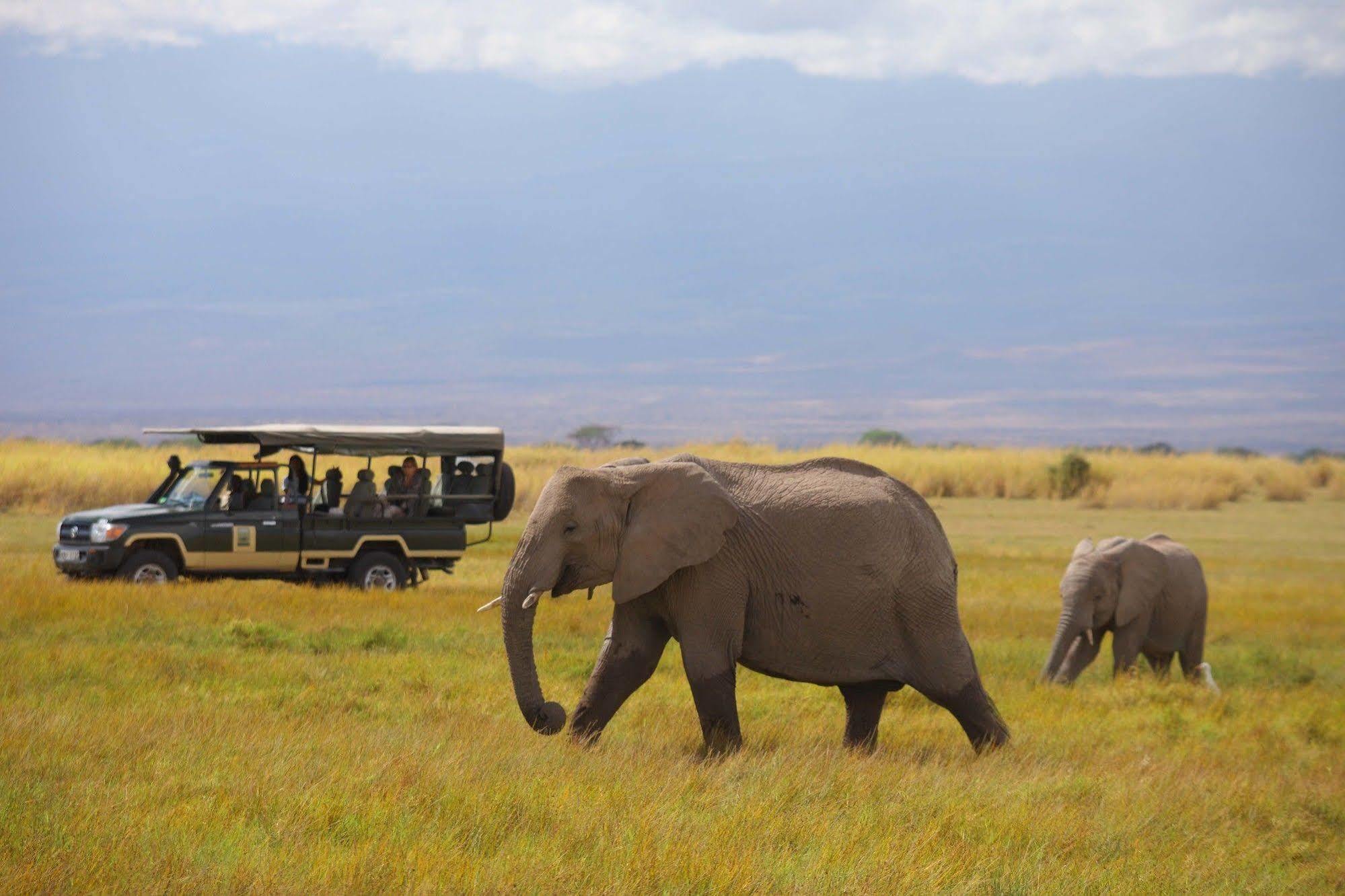 Hotel Elewana Tortilis Camp à Amboseli Extérieur photo