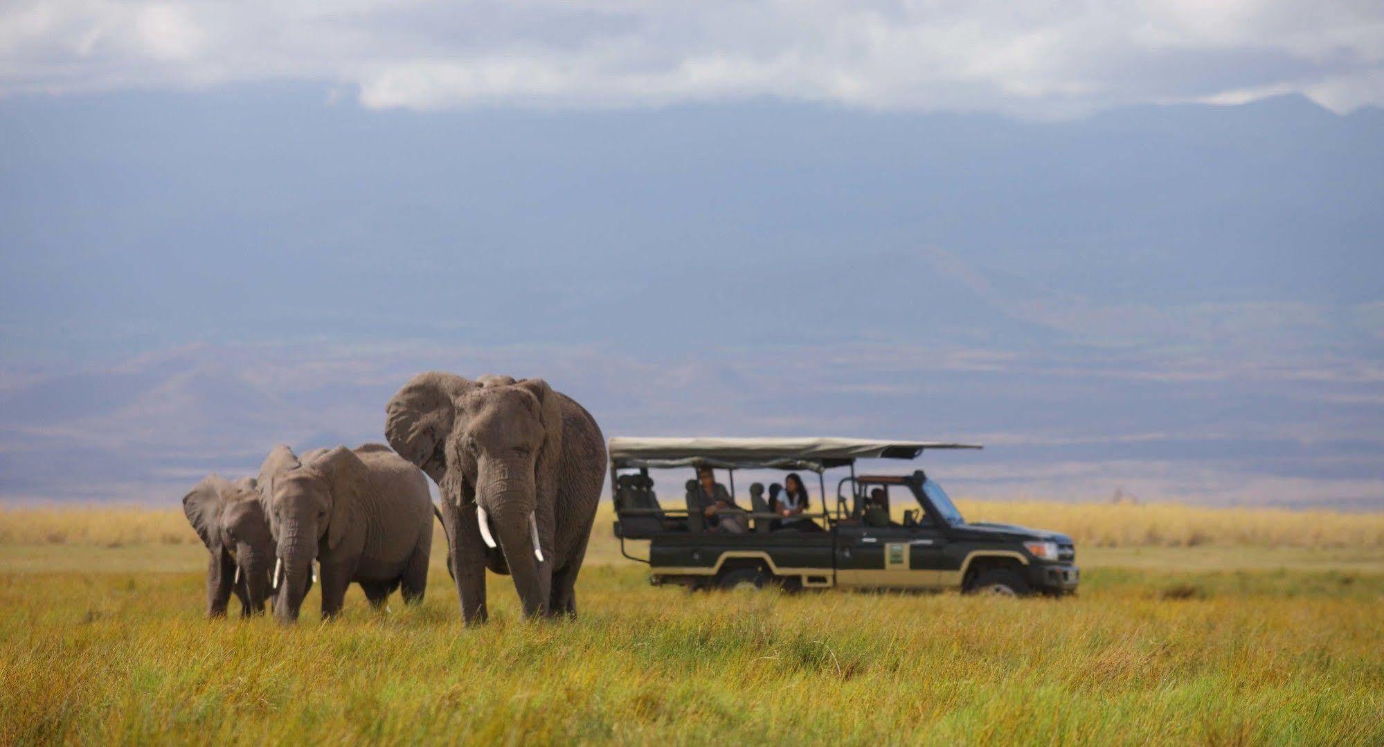 Hotel Elewana Tortilis Camp à Amboseli Extérieur photo